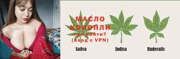 соль ск Алексин