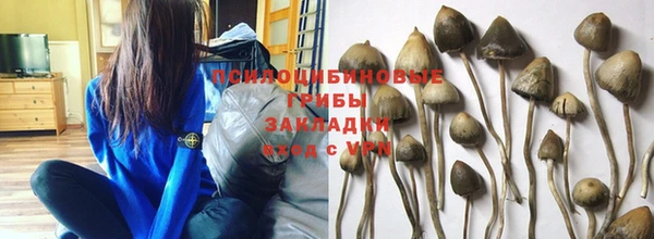 jwh Абинск