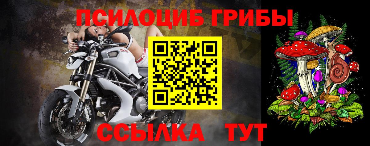 Псилоцибиновые грибы мухоморы Астрахань