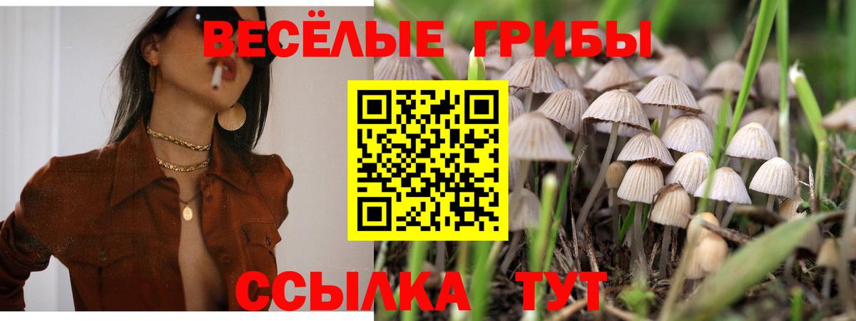 Астрахань  Галлюциногенные грибы Cubensis  Вход с VPN 