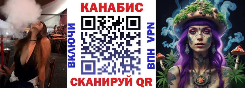 Бошки Шишки план Астрахань